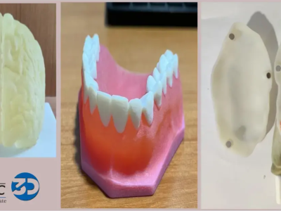 3D Printed Anatomical Models for Medical Education