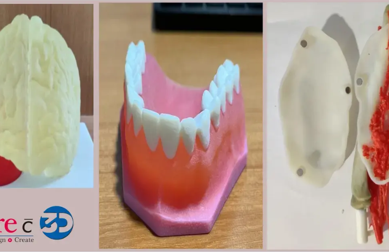 3D Printed Anatomical Models for Medical Education