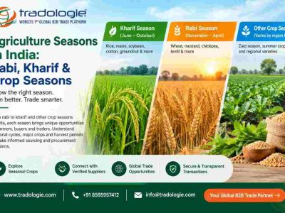 Agriculture Seasons in India: Rabi, Kharif & Crop Seasons