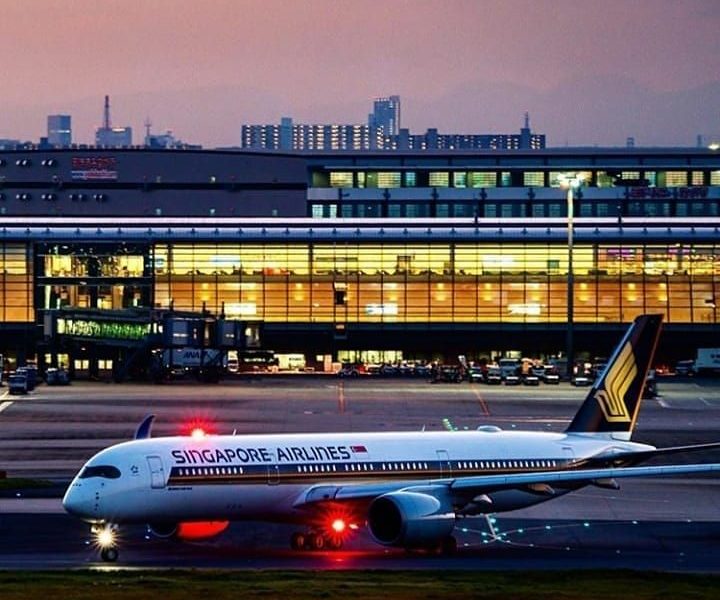 Professional Travel Planning and Reservation Assistance by Delta Air Travel