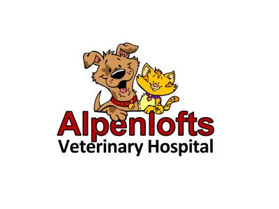 Pet Care Services