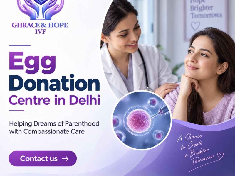 Key Steps in Donor Egg Assisted Reproduction