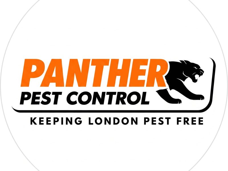 Professional Pest Control Services in London