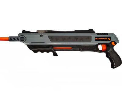 Salt Gun to Kill Flies Ireland – A Practical Fly Control Option