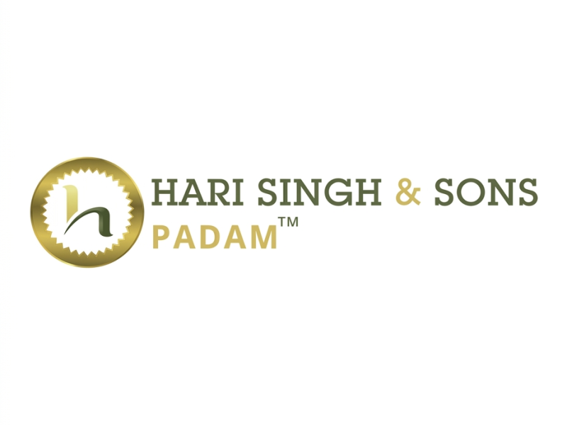 Shaping machine manufacturer In Punjab - Hari Singh and Sons