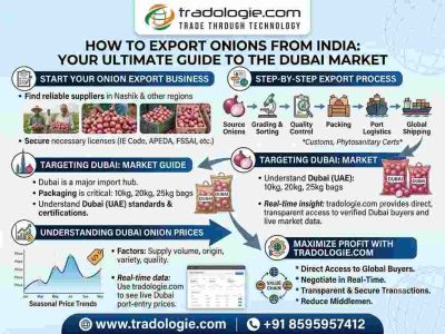 How to Export Onions from India: Onion Export Business & Dubai Price Guide
