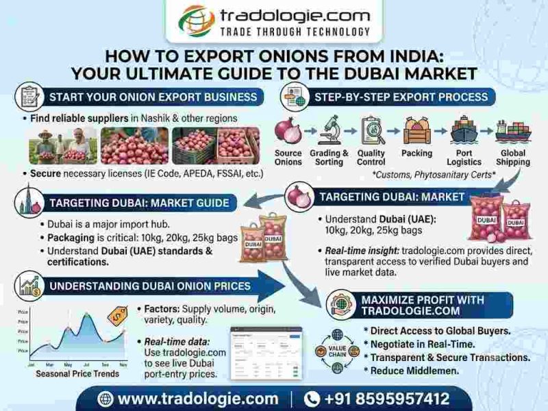How to Export Onions from India: Onion Export Business & Dubai Price Guide