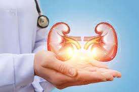 Stem Cell Therapy India – Advanced Regenerative Medicine