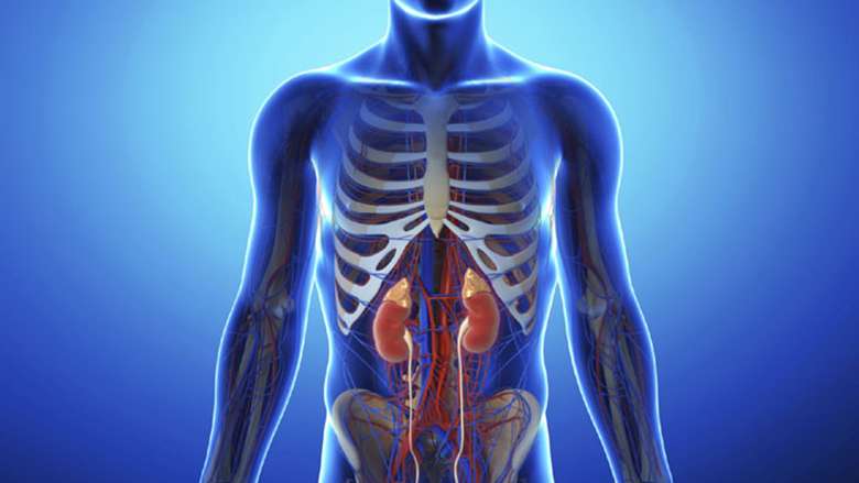 Stem Cell Therapy India – Advanced Regenerative Medicine