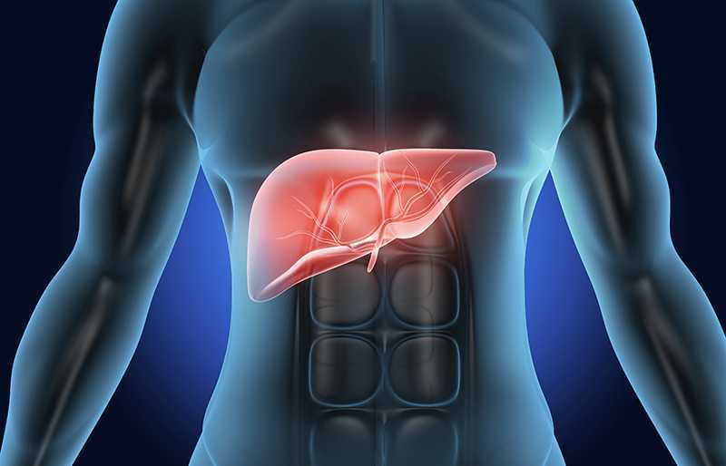 Stem Cell Therapy India – Advanced Regenerative Medicine & Treatment