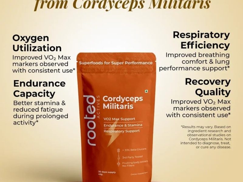 Cordyceps Militaris Powder | Stamina & Cellular Energy