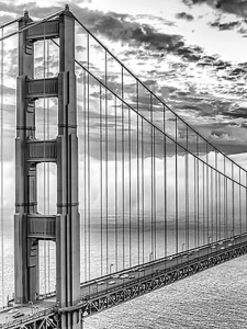 Buy San Francisco Posters For Stylish City Inspired Wall Decor