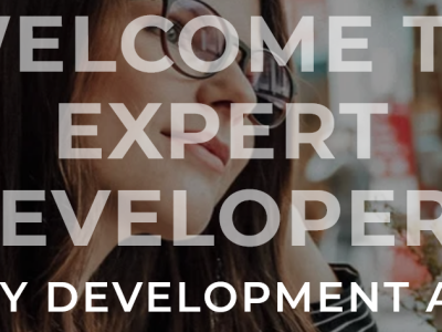Expert Developers