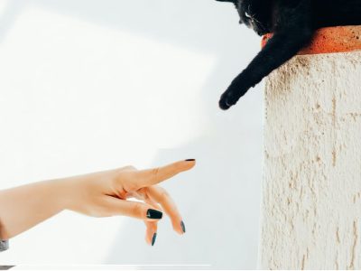 What Does Connecting With Loved Ones in Spirit Mean?