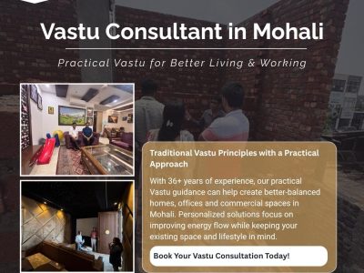 Vastu Consultant in Mohali