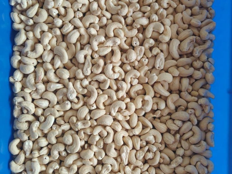 SUPPLIER WHOLESALER IN CASHEW NUTS Majura Udhna-SURAT GUJARAT