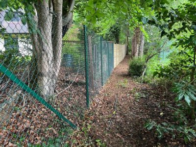 Dog Proof Fencing Fleet for Secure Gardens