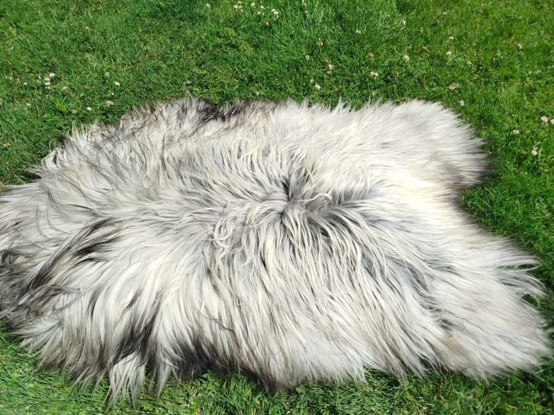 Heidschnucke Premium Sheepskins