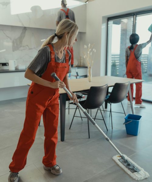 Professional Cleaners for Homes, Offices and Businesses