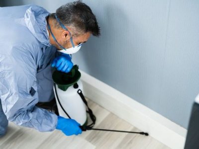 Bug Service