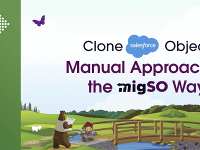 Clone Salesforce Objects- MigSO