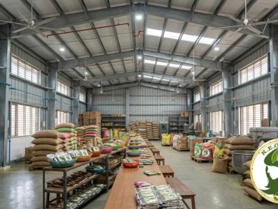 How Indian Henna Manufacturers Are Meeting Global Export Standards