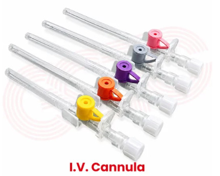 IV Cannula Manufacturer & Exporter from India| GSTC