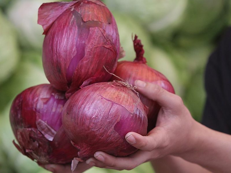 Fresh Onions from Uzbekistan