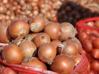 Fresh Onions from Uzbekistan