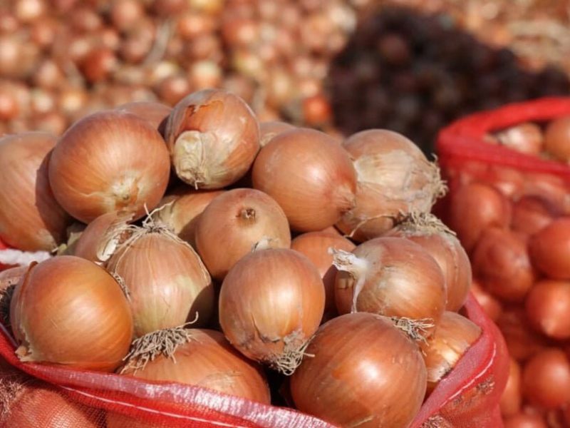 Fresh Onions from Uzbekistan