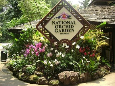 National Orchid Garden Singapore ticket National Orchid Garden Universal Studios Adventure cove water park S.E.A cheap ticket discount promotion Oceanarium Madame Tussauds Wings of Time Cable Car Trick Eye Museum Luge Skyline Bird Paradise Zoo Night Safari