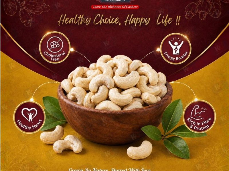 Whole Split and Broken Cashew Supplier in Gujarat