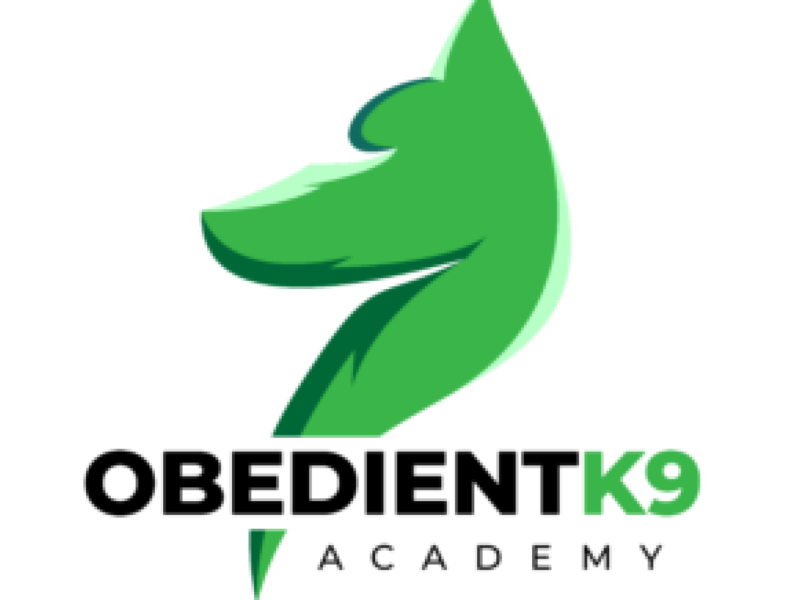 Obedient K9 Academy