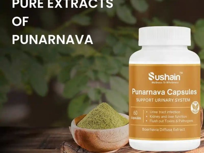 Punarnava Capsules for UTI Support | Ayurvedic Urinary Care