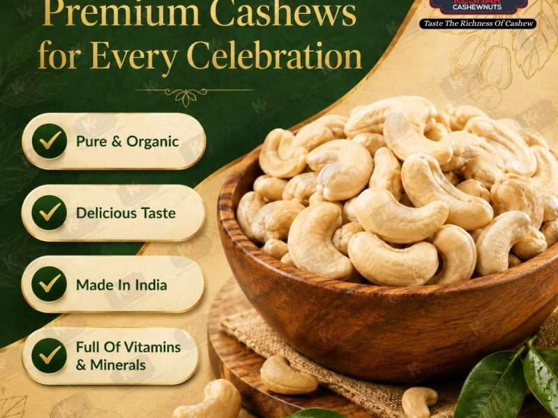 Whole Split and Broken Cashew Supplier in Gujarat