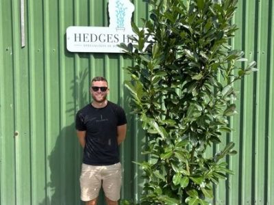 Quality Hedging Plants & Garden Screening Delivered Across the UK