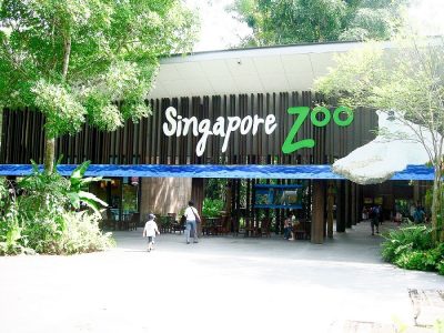 Zoo with tram ticket Universal Studios Adventure cove water park S.E.A Aquarium Oceanarium Madame Tussauds Wings of Time cheap discount promotion Cable Car Luge Skyline Bird Paradise Park Night Safari River Wonder Duck tour Kidzania Garden by the bay Super