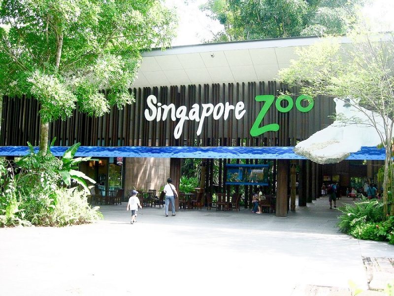 Zoo with tram ticket Universal Studios Adventure cove water park S.E.A Aquarium Oceanarium Madame Tussauds Wings of Time cheap discount promotion Cable Car Luge Skyline Bird Paradise Park Night Safari River Wonder Duck tour Kidzania Garden by the bay Super