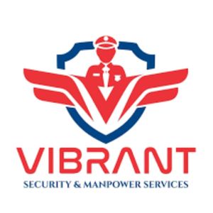 Vibrant Security