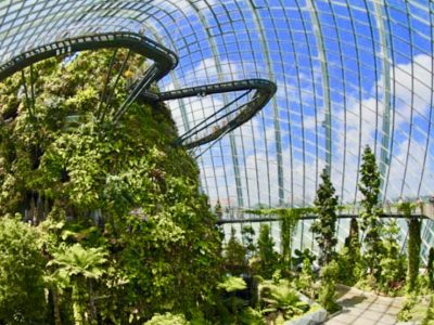 Garden by the bay ticket flower cloud forest domes Floral Fantasy Supertree Super tree Observatory OCBC Skywak skywalk cheap discount promotion Singapore Flyer Universal Studios Adventure cove water park S.E.A Aquarium Madame Tussauds Wings of Time Cable C