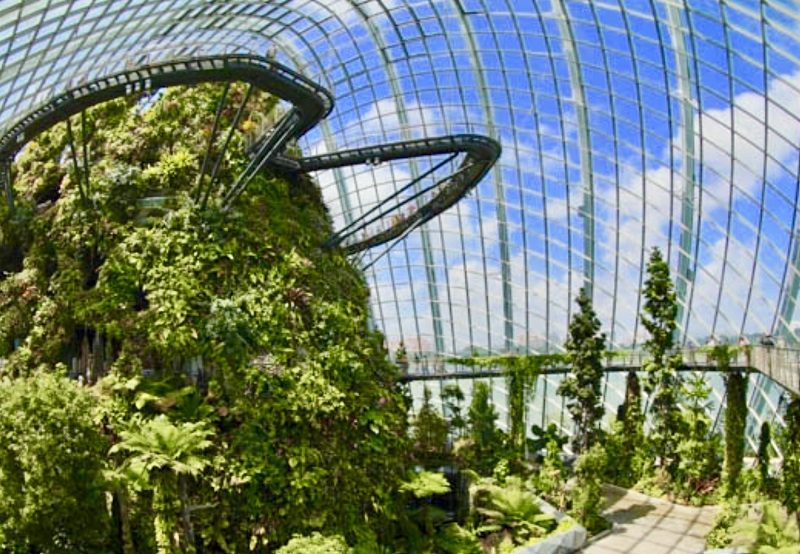 Garden by the bay ticket flower cloud forest domes Floral Fantasy Supertree Super tree Observatory OCBC Skywak skywalk cheap discount promotion Singapore Flyer Universal Studios Adventure cove water park S.E.A Aquarium Madame Tussauds Wings of Time Cable C