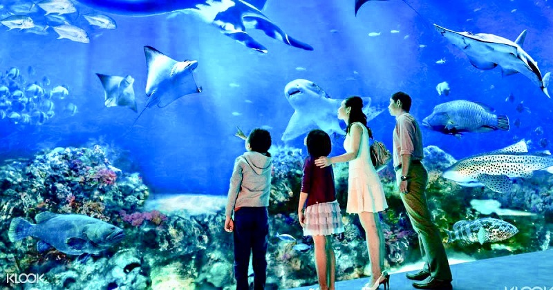 Singapore Oceanarium ticket cheap promotion Sentosa Universal Studios Singapore Adventure Cove Madame Tussauds Wings of Time Cable Car Luge Skyline Garden by the bay Bird Paradise Zoo Night Safari River Wonder Duck tour Superpark Flyer River Cruise Sky par