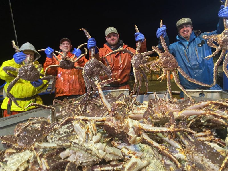 Live King Crab Premium Norwegian Red King Crab Supplier