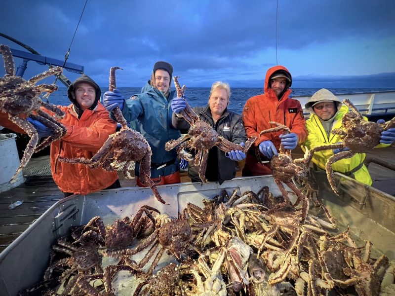 Live King Crab Premium Norwegian Red King Crab Supplier