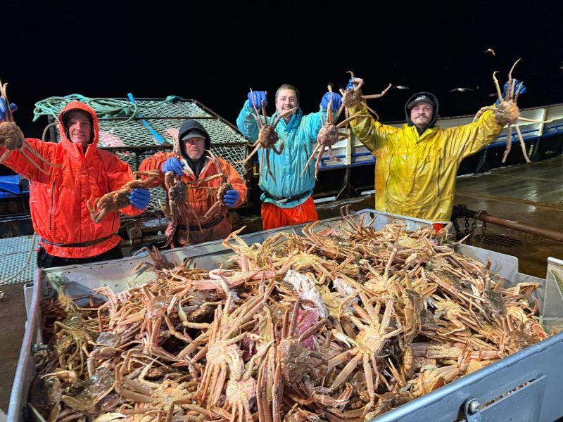 Live and Frozen King Crab for sale, Live/Frozen, RED King Crab, Alaskan King Crabs