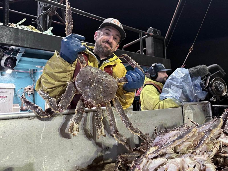 Live King Crab Premium Norwegian Red King Crab Supplier
