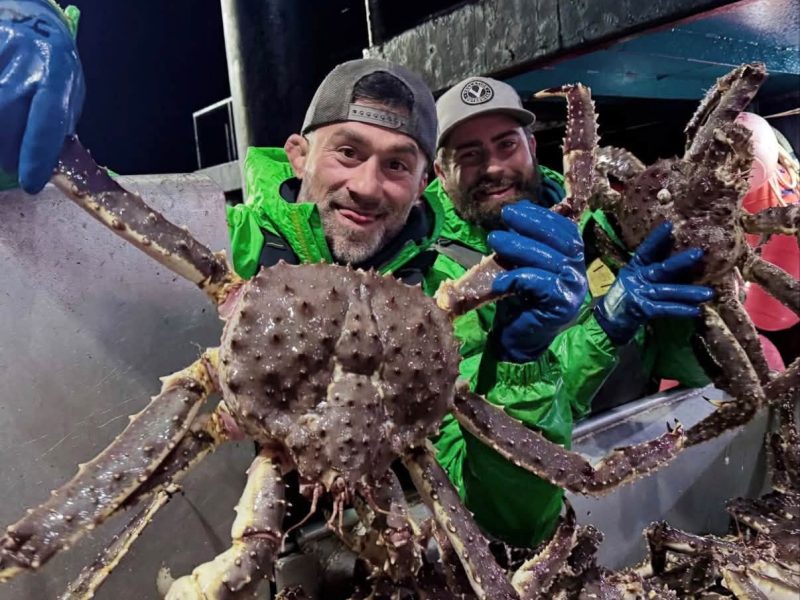 Live King Crab Premium Norwegian Red King Crab Supplier