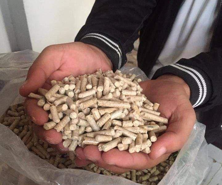 Kup pellet opałowy ENplus A1 w Polsce