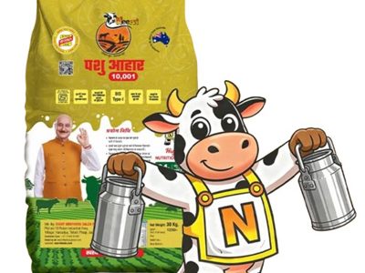Advanced Cattle Animal Feed Supplement for High Milk Fat