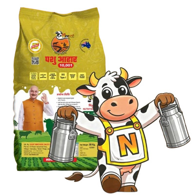 Advanced Cattle Animal Feed Supplement for High Milk Fat